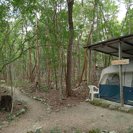 Campamento Yaax Che En Calakmul Conhuas المظهر الخارجي الصورة
