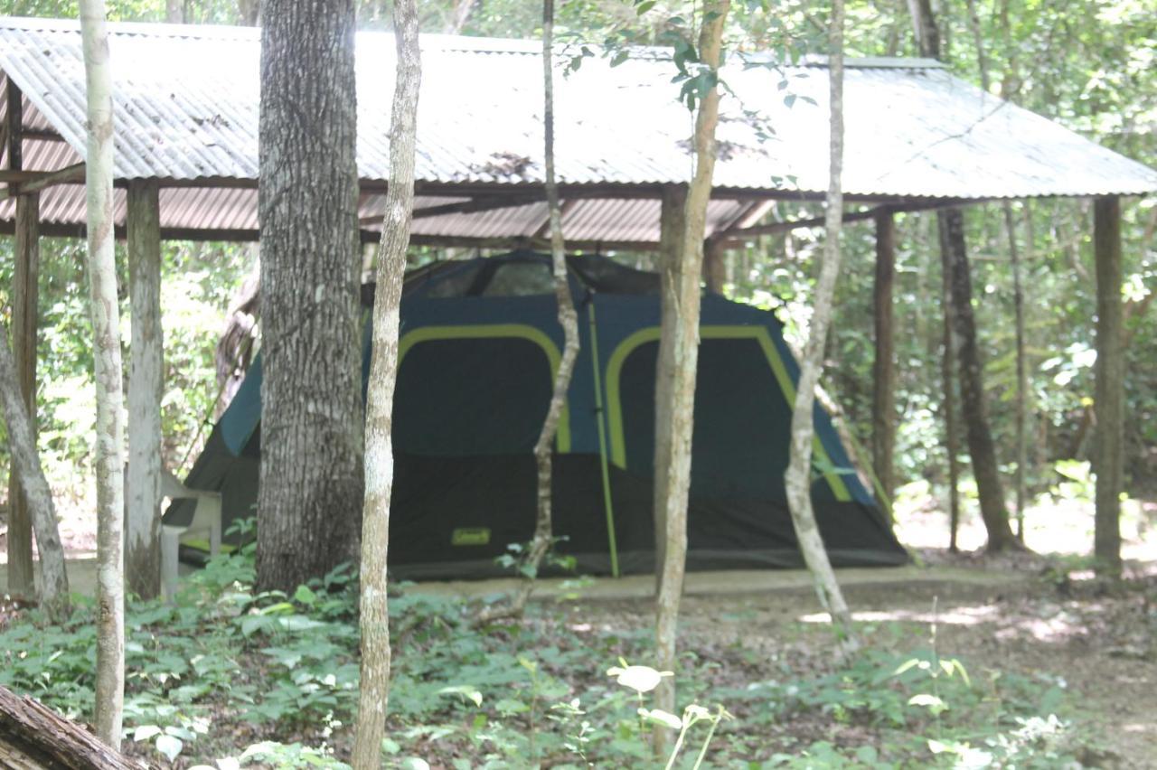 Campamento Yaax Che En Calakmul Conhuas المظهر الخارجي الصورة