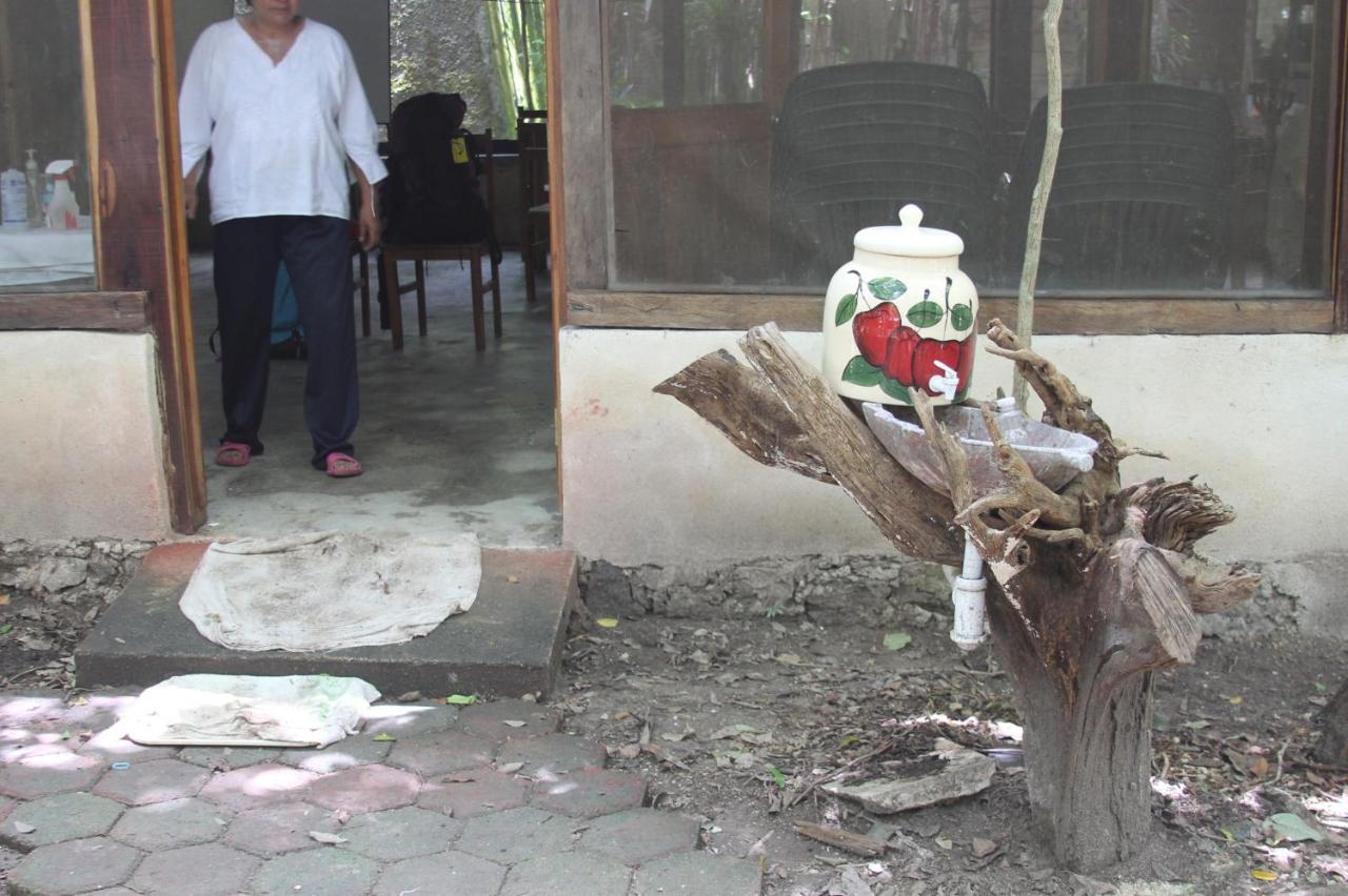 Campamento Yaax Che En Calakmul Conhuas المظهر الخارجي الصورة