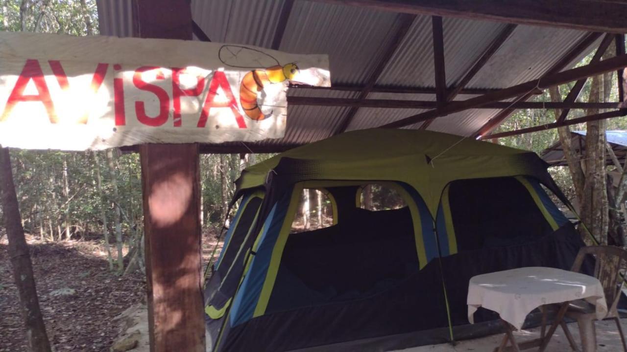 Campamento Yaax Che En Calakmul Conhuas المظهر الخارجي الصورة
