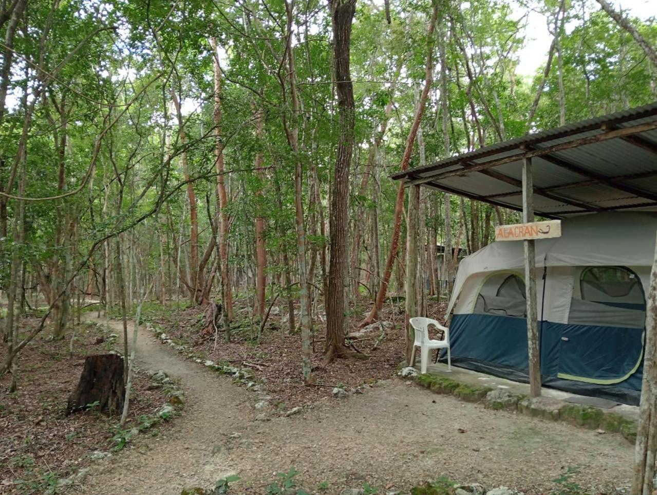 Campamento Yaax Che En Calakmul Conhuas المظهر الخارجي الصورة