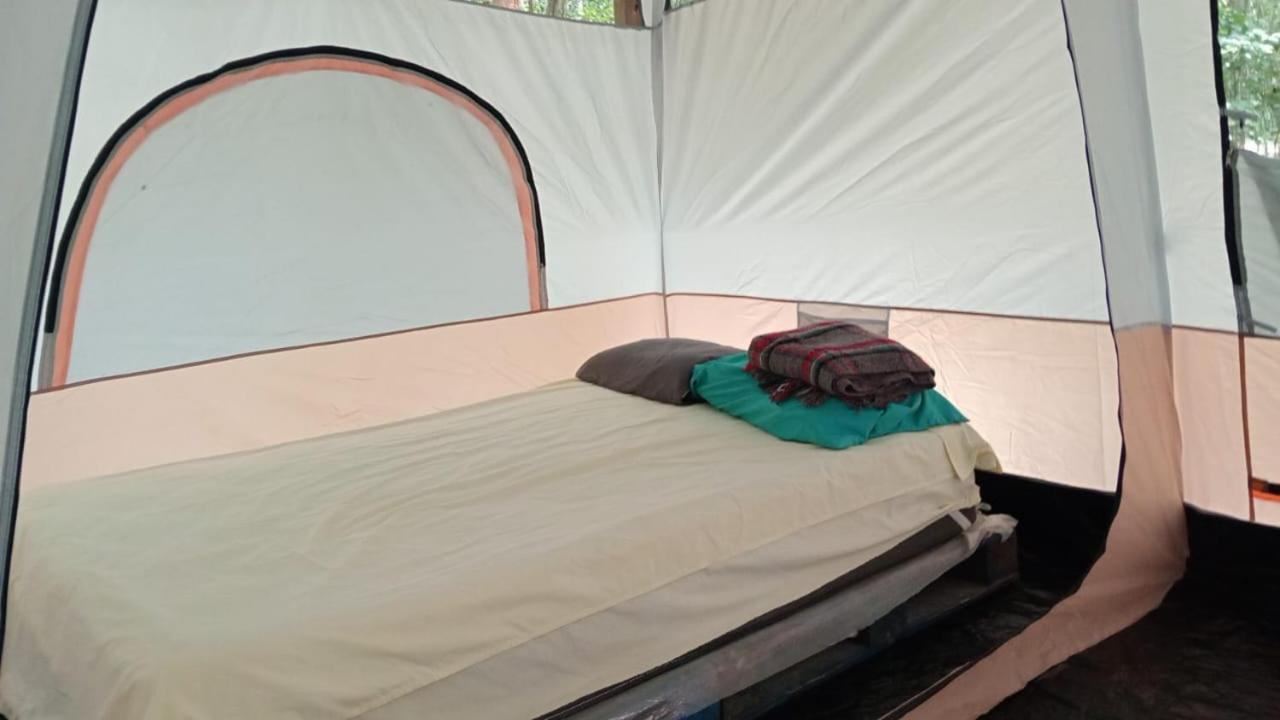 Campamento Yaax Che En Calakmul Conhuas الغرفة الصورة
