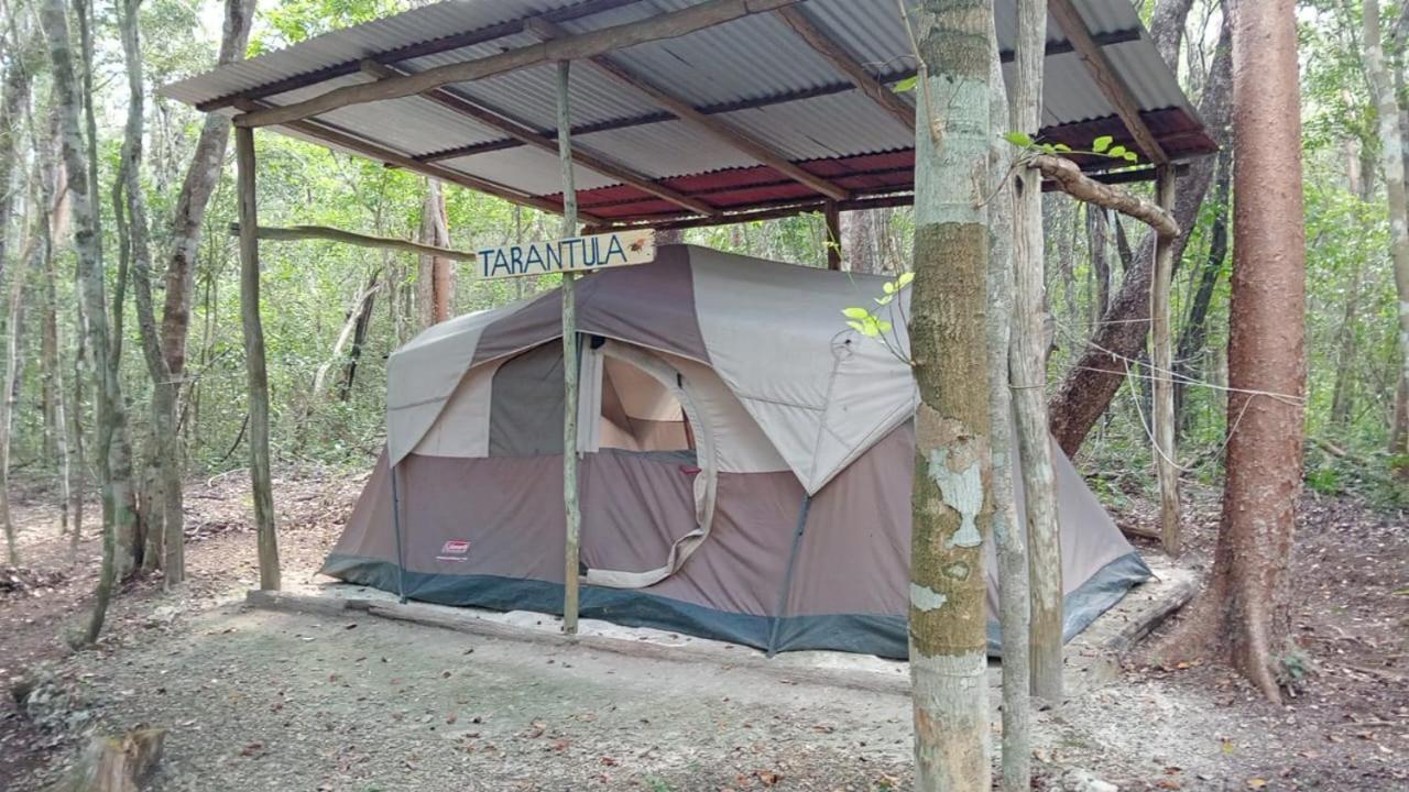 Campamento Yaax Che En Calakmul Conhuas الغرفة الصورة