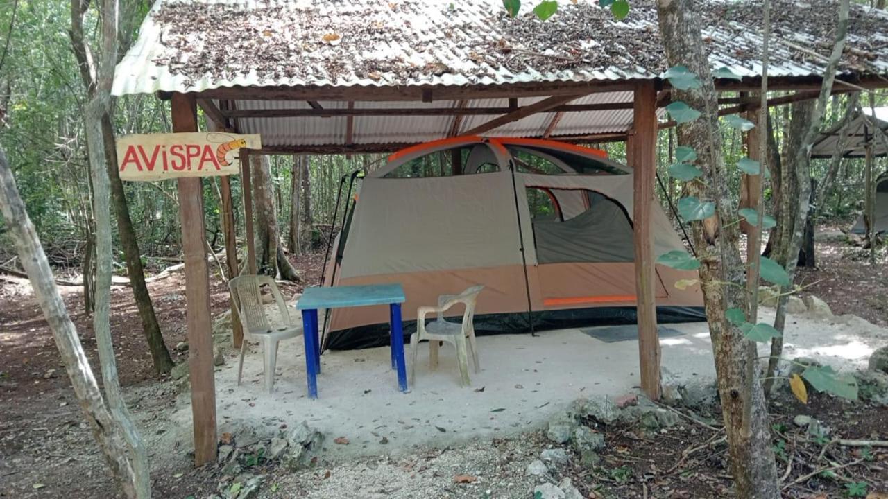 Campamento Yaax Che En Calakmul Conhuas الغرفة الصورة