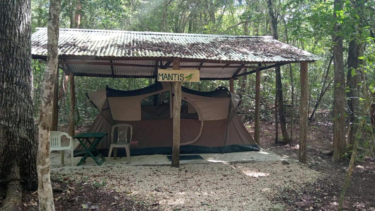 Campamento Yaax Che En Calakmul Conhuas الغرفة الصورة