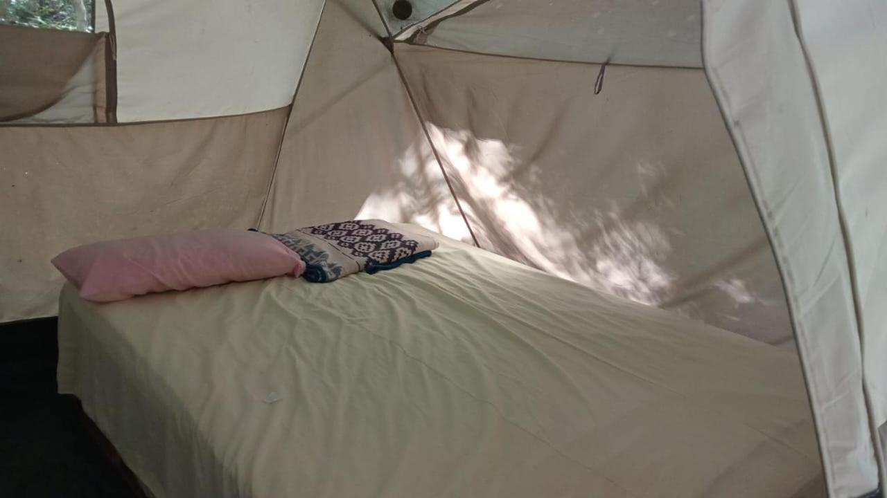 Campamento Yaax Che En Calakmul Conhuas الغرفة الصورة