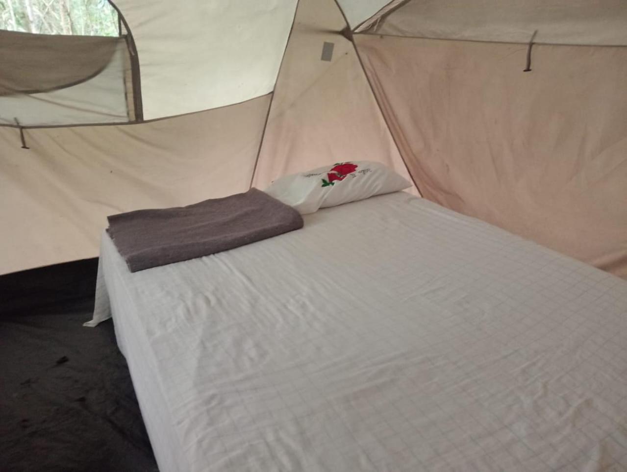 Campamento Yaax Che En Calakmul Conhuas الغرفة الصورة