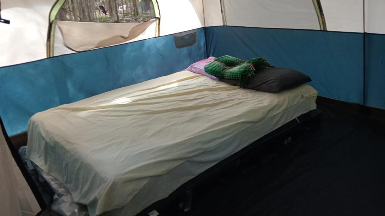 Campamento Yaax Che En Calakmul Conhuas الغرفة الصورة