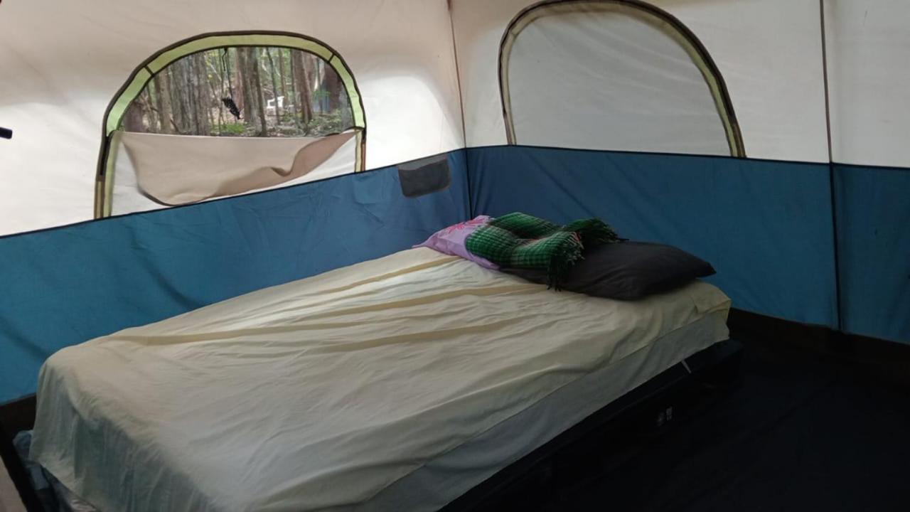 Campamento Yaax Che En Calakmul Conhuas الغرفة الصورة