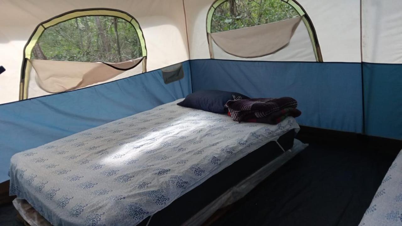 Campamento Yaax Che En Calakmul Conhuas الغرفة الصورة