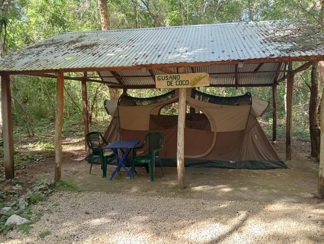 Campamento Yaax Che En Calakmul Conhuas المظهر الخارجي الصورة