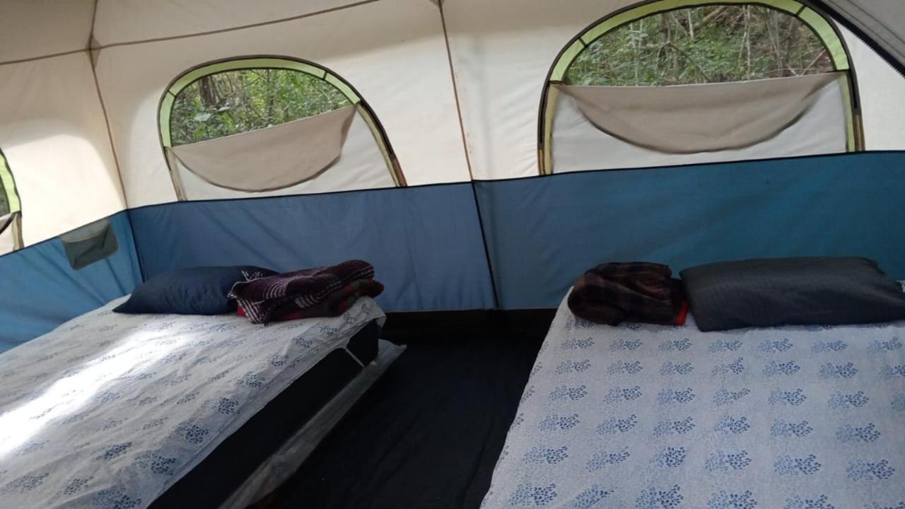 Campamento Yaax Che En Calakmul Conhuas الغرفة الصورة
