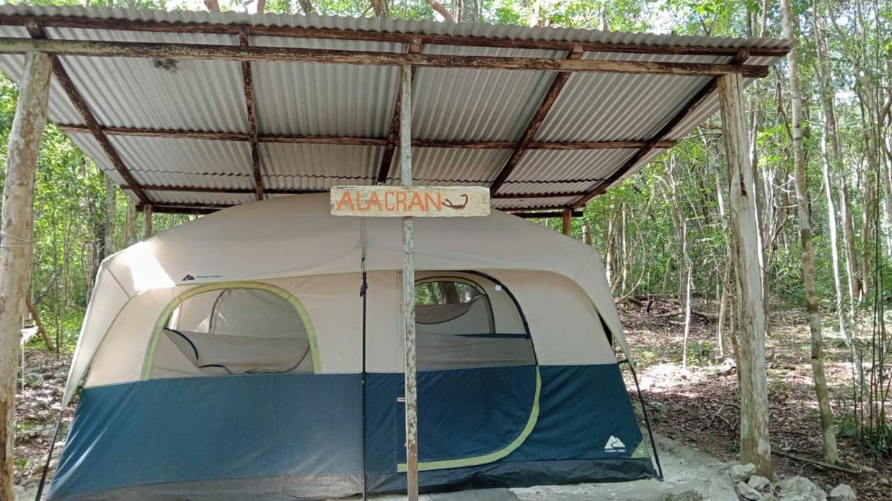 Campamento Yaax Che En Calakmul Conhuas الغرفة الصورة