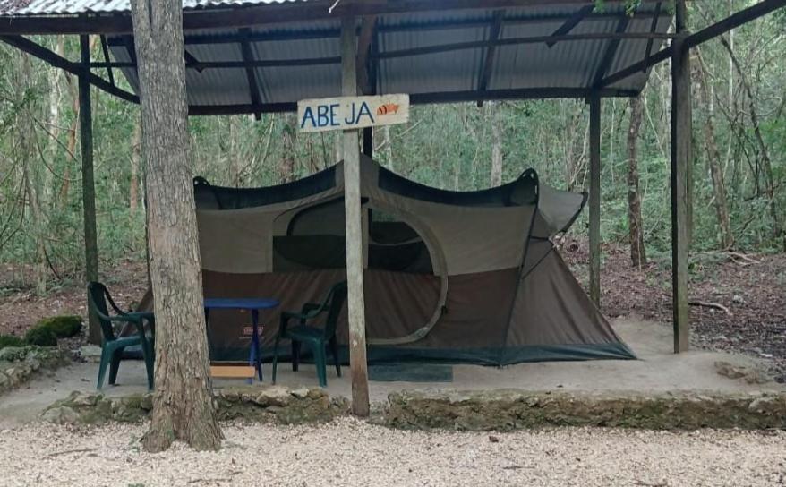 Campamento Yaax Che En Calakmul Conhuas المظهر الخارجي الصورة