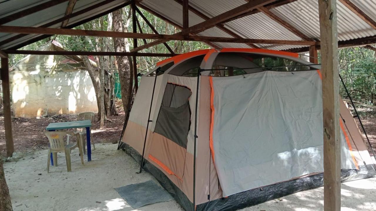 Campamento Yaax Che En Calakmul Conhuas المظهر الخارجي الصورة