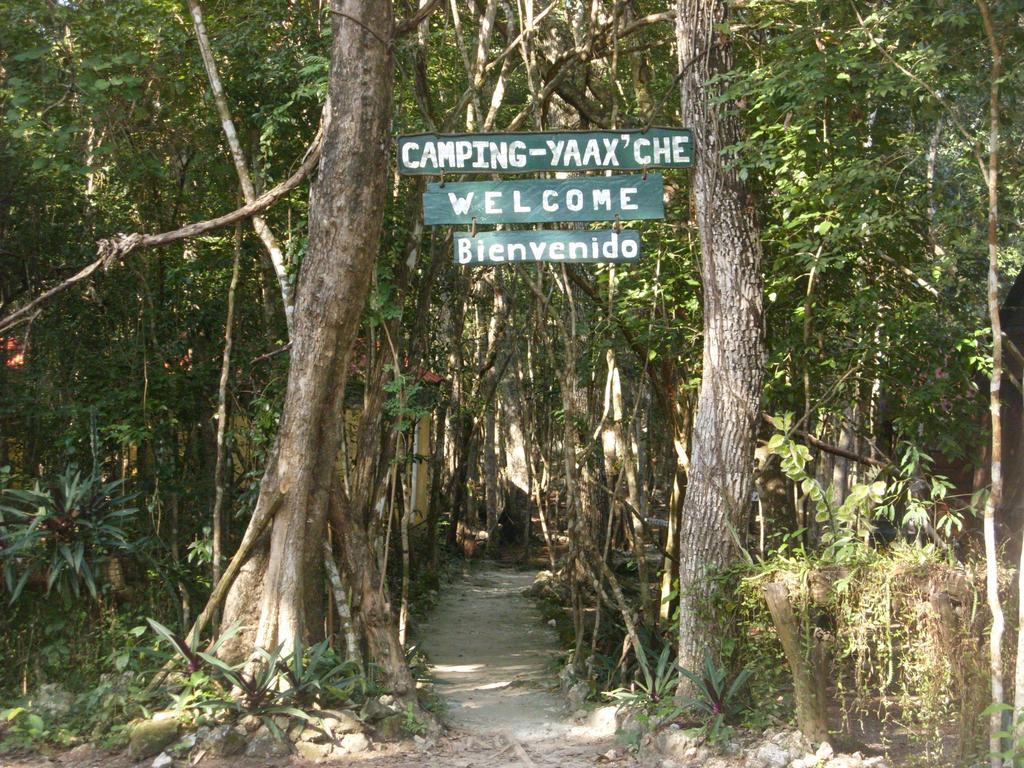 Campamento Yaax Che En Calakmul Conhuas الغرفة الصورة