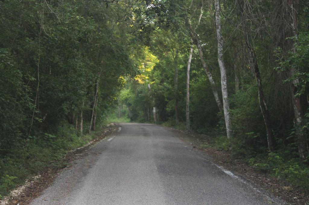 Campamento Yaax Che En Calakmul Conhuas المظهر الخارجي الصورة