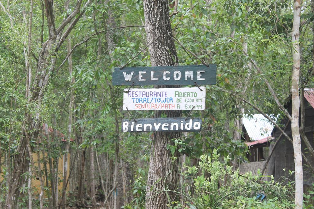 Campamento Yaax Che En Calakmul Conhuas المظهر الخارجي الصورة