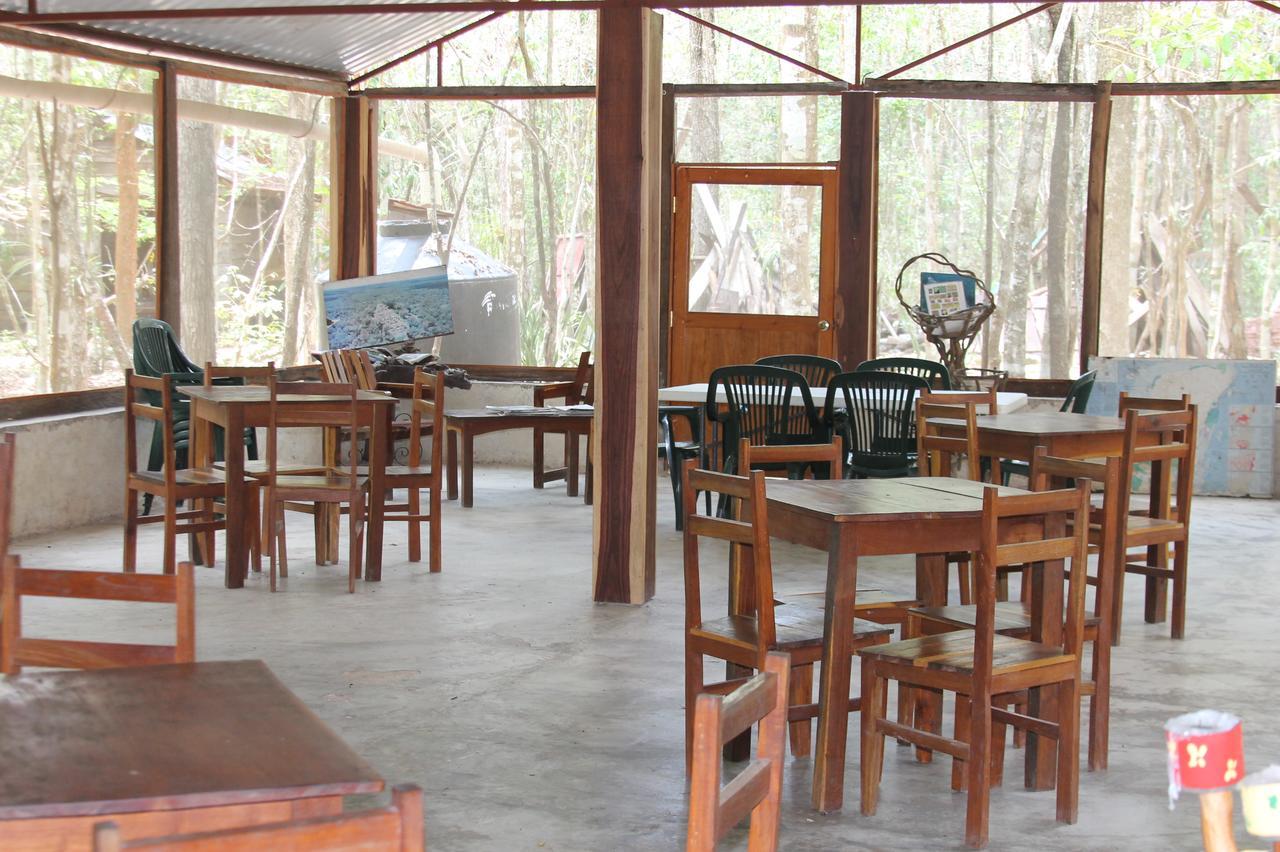Campamento Yaax Che En Calakmul Conhuas المظهر الخارجي الصورة
