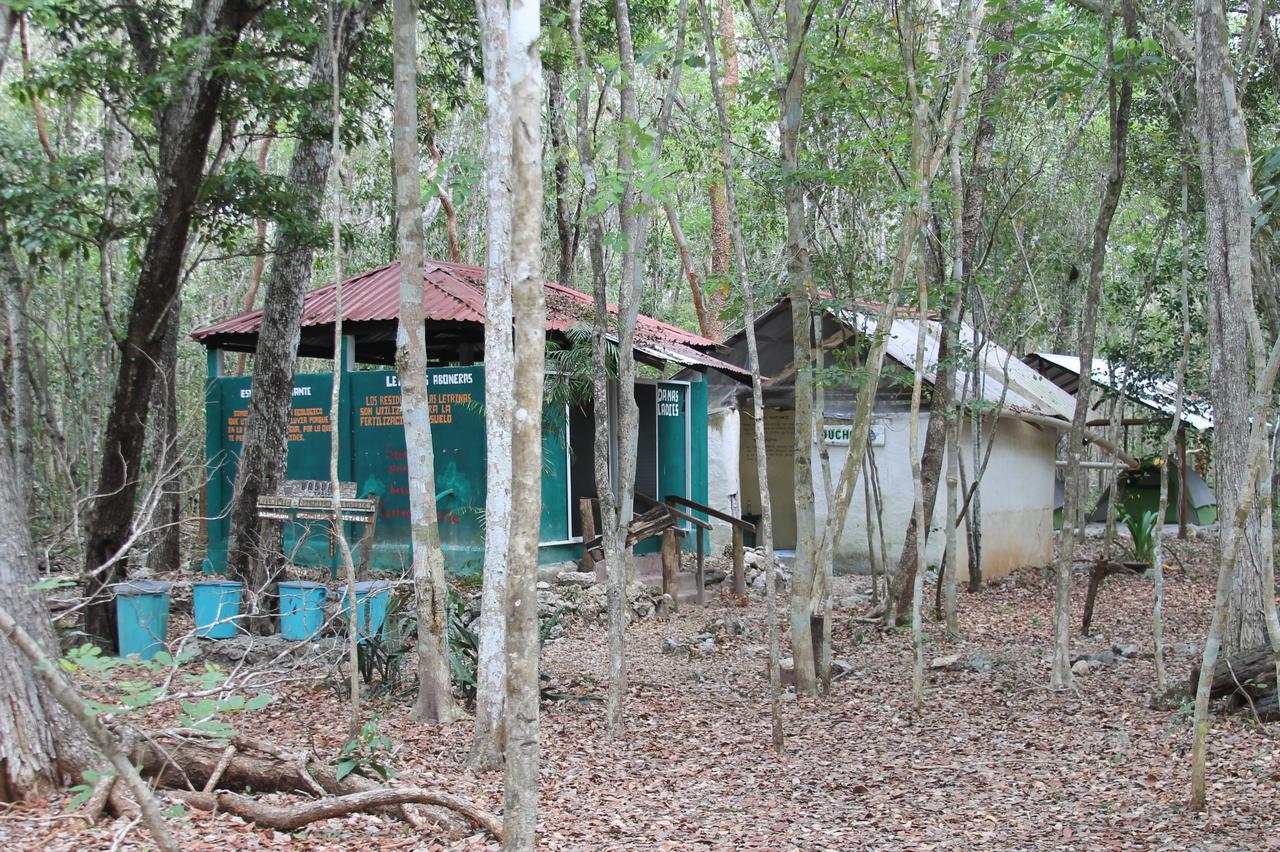 Campamento Yaax Che En Calakmul Conhuas المظهر الخارجي الصورة